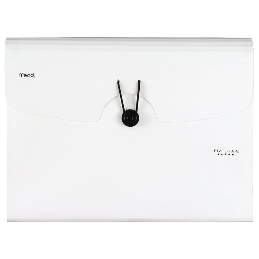 Folder 5/Folder+Folder 5 COMPLETE BOX〈完… Five Star 4-Pocket Paper Folder, Assorted Colors (33585
